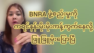 BNRA ဖွဲ့စည်းမှုကို ထောက်ပို့ကရင်နန်းမိုးက ကန့်ကွက်နေလို့ ဖြူဖြူမိုးပြောပြီ