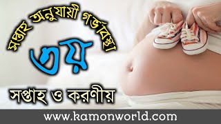 সপ্তাহ অনুযায়ী গর্ভাবস্থা ৩য় সপ্তাহ | soptaho onujayi gorvabostha 3 | 3rd week pregnancy in bangla.