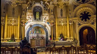 Visitations of Our Lord to Us ~ Fr Armand de Malleray, FSSP