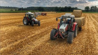 HD| Hafer Stroh Pressen und abfahren | Steyr 9095 MT | Steyr9086 | Steyr 968 |