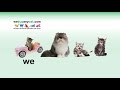 webuyanycat.com we buy any cat .com not webuyanycar