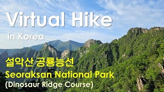 [4K Virtual Hike in Korea] 설악산 공룡능선 (Seoraksan National Park, Dinosaur Ridge Course)