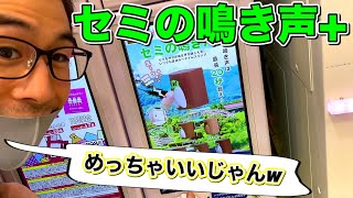 セミの鳴き声+ オールシーズン聴けます笑 モーリーファンタジー限定ガチャ