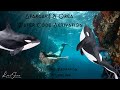 Part 1 Element Series - Mermaid Goddess Atargatis and Orca Whale Water Code Activation_Water Element