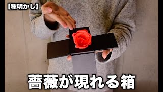 どこから出たの？薔薇が現れる箱【種明かし】