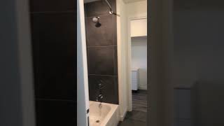 Chicago South Loop Property #158 One Bedroom Unit #1008