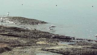 Seascape of Thalai,Thalassery,Kerala,India