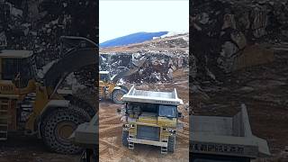 CAT Meets Volvo Loader #shorts #construction #excavator