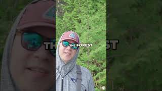 Brook Trout Fishing Adventure