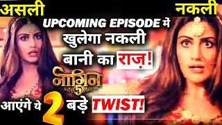 Naagin 5 NEW TWIST:AfterThe Revelation of Bani's look alike;These 2 Big Twist Will Come in The Show!