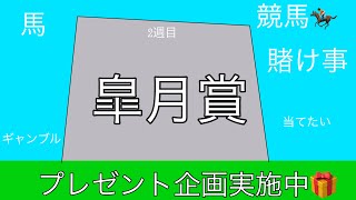 皐月賞買い目〜天皇賞春のプレゼント企画に向けて〜