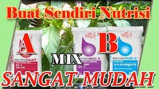 Buat Sendiri Nutrisi AB MIX Sangat Mudah Create Your Own Very Easy MIX AB Nutrition