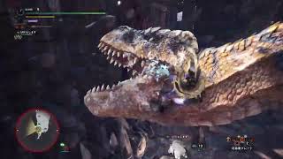 モンスターハンターワールド：アイスボーン_20241119233020