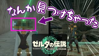 なんか見つけちゃったので攻略する【ゼルダの伝説　ティアーズ オブ ザ キングダム】