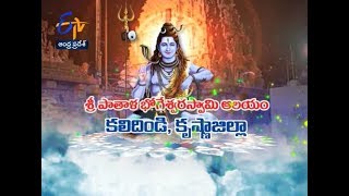 శ్రీ పాతాళభోగేశ్వరస్వామి ఆలయం | కలిదిండి | కృష్ణ  తీర్థయాత్ర | 29 ఏప్రిల్ 2019 |ఈటీవీ ఏపీ