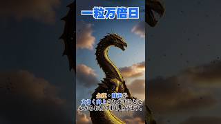 【一粒万倍日】金龍パワー！11月23日23時59分までにご覧ください！龍神益・金運・財運アップ♪#金運 #財運 #出世運