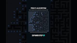 Prim's Algorithm Maze Generation Visualization #computerscience #programming #dev #coding #fyp #maze