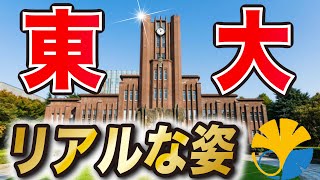 受験生が知らない東大のリアル【東大生２人が語る】