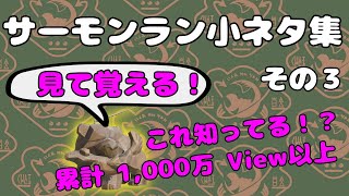 【#おスラリン小ネタ2】知ってるだけで上手くなる！便利なサーモンラン小ネタ集　その３【サーモンランNW】