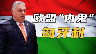 欧盟“内鬼”匈牙利，以1敌26力挺中国，为何他会帮中国挡刀子？