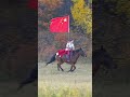 内蒙古骑马 riding horses in inner mongolia