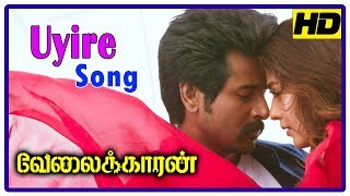 Velaikkaran | Velaikkaran songs | Iraiva Video song | Anirudh songs | Nayanthara songs | Iraiva song