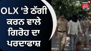 OLX Fraud |  ਫੌਜ ਦੇ ਅਫਸਰ ਬਣ ਕੇ OLX  'ਤੇ ਮਾਰਦੇ ਸੀ ਠੱਗੀ | Chandigarh | Cyber Crime | News18 Punjab