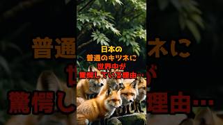 日本の普通のキツネに世界中が驚愕している理由…