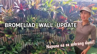 BROMELIAD WALL UPDATE SPRING 2023 // Gardening + cooking vlog2 // SARAH G. SMITH