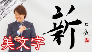 【新】美文字　コツ　書き方　武田双龍