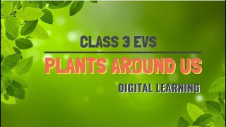 Class 3 EVS | Plants Around Us | Digital Learning | Tutorial in English