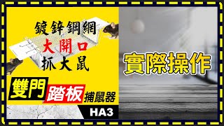 板橋現貨【雙門踏板捕鼠器】鍍鋅鋼網捕鼠器-抓大老鼠捕小老鼠神器.黏鼠板.連續捕鼠器.捕鼠夾.老鼠夾【傻瓜批發】(HA3)