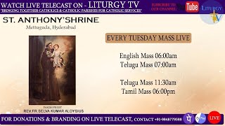 Fr. Aloysius | Tuesday Telugu Mass 7 am | St. Anthony's Shrine Mettuguda | 18-2-25