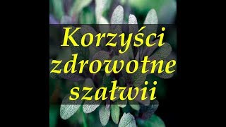 Szałwia - korzyści zdrowotne