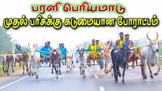 பரளி பெரியமாடு புதுக்கோட்டை மா 08/01/2023 parali   ksk rekla race tn rekla race krish stud