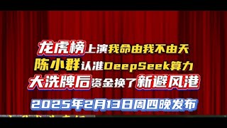 deepseek迎来大分歧，明天盘面何去何从？2-13日龙大复盘