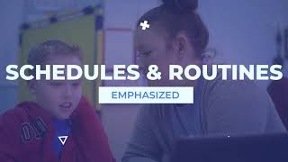 AAED Online Program