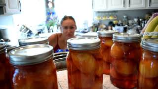 Preserve nectarines and tomatoes- canning and freezing without trying that hard