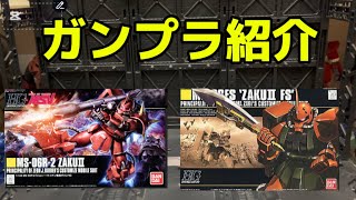 【ガンプラ紹介:第9弾】HG1/144:2体の専用機を紹介