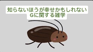 知らないほうが幸せかもしれないGに関する雑学#雑学 #豆知識 #害虫 #ゴキブリ