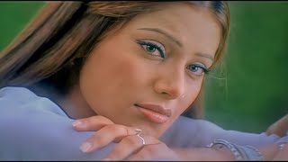 Dil Dil Dil Yeh Dil | Ishq Hai Tumse | Alka Yagnik | Udit Narayan | Hit Song | 90s Dhamaka