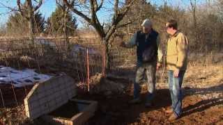 Livestock Safety with Frozen Ponds