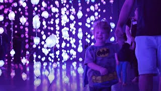 Creativity and Early Childhood Development