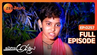 America Ammayi - అమెరికా అమ్మాయి - Telugu Serial - EP 257 - Marina Rohit, Seethakanth - Zee Telugu