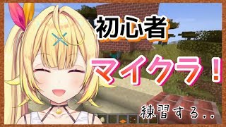 【マイクラ】初心者がぼっちで練習する！★星川サラ【にじさんじ】