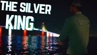 Epic TARPON Fishing In Tampa Bay