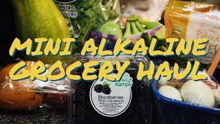 DR. SEBI MINI ALKALINE GROCEY HAUL UNDER $50