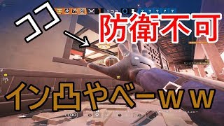 【R6S】🐨99％決まっちゃうイン凸がやばみww