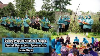 (090125) Dukung Program Ketahanan Pangan, Pemkab Banjar Gelar Syukuran dan Panen Sayur