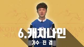 2018 코리안 오크스 출전마 소개